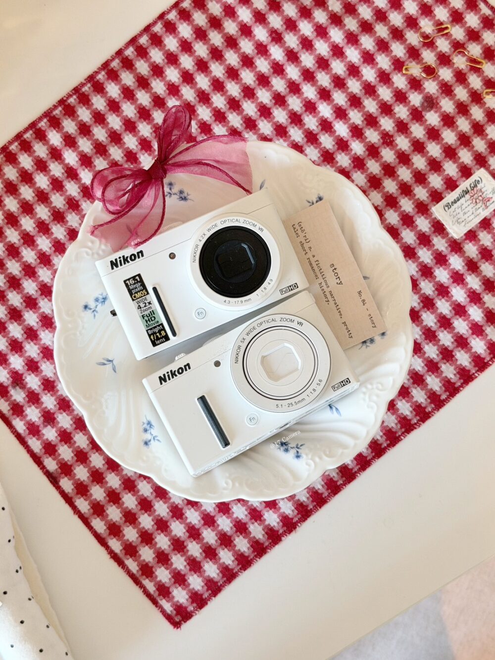 S__45621295_0 Nikon P系列