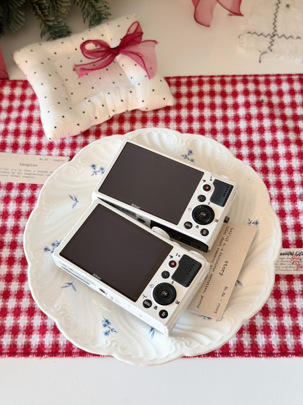 S__45621296_0 Nikon P系列