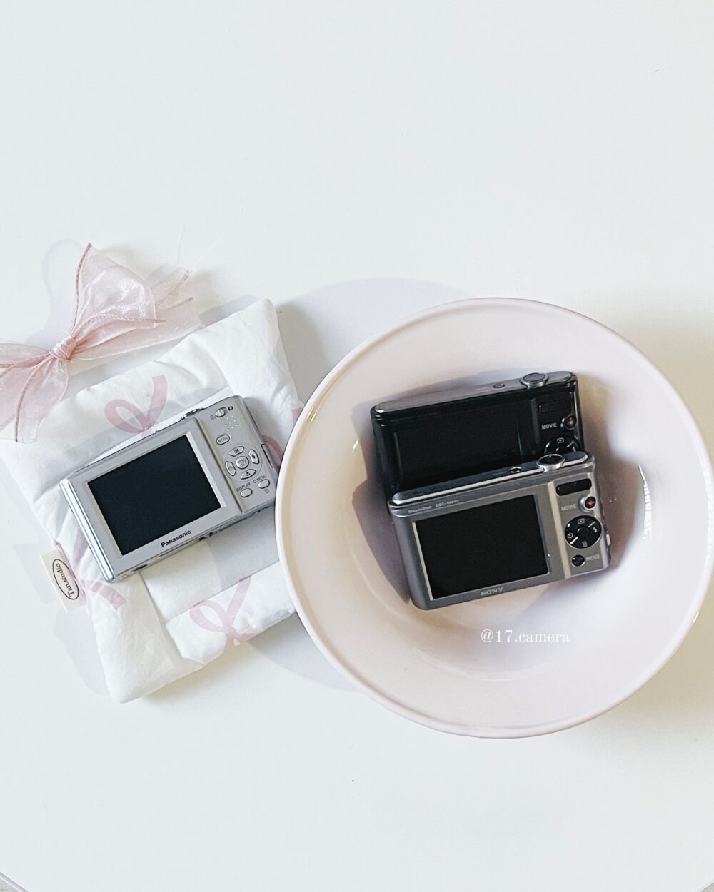 Downloaded_Instagram_Image (3) Sony W系列