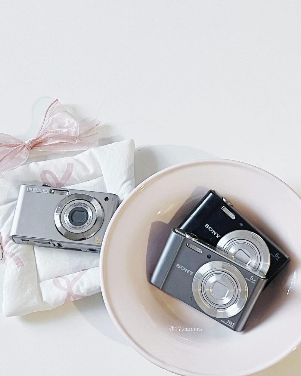 Downloaded_Instagram_Image (4) Sony W系列